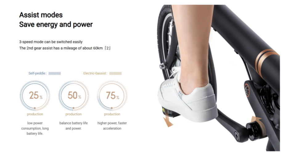 CRUZZER Q ICYCLE F-2 Electric Bike
